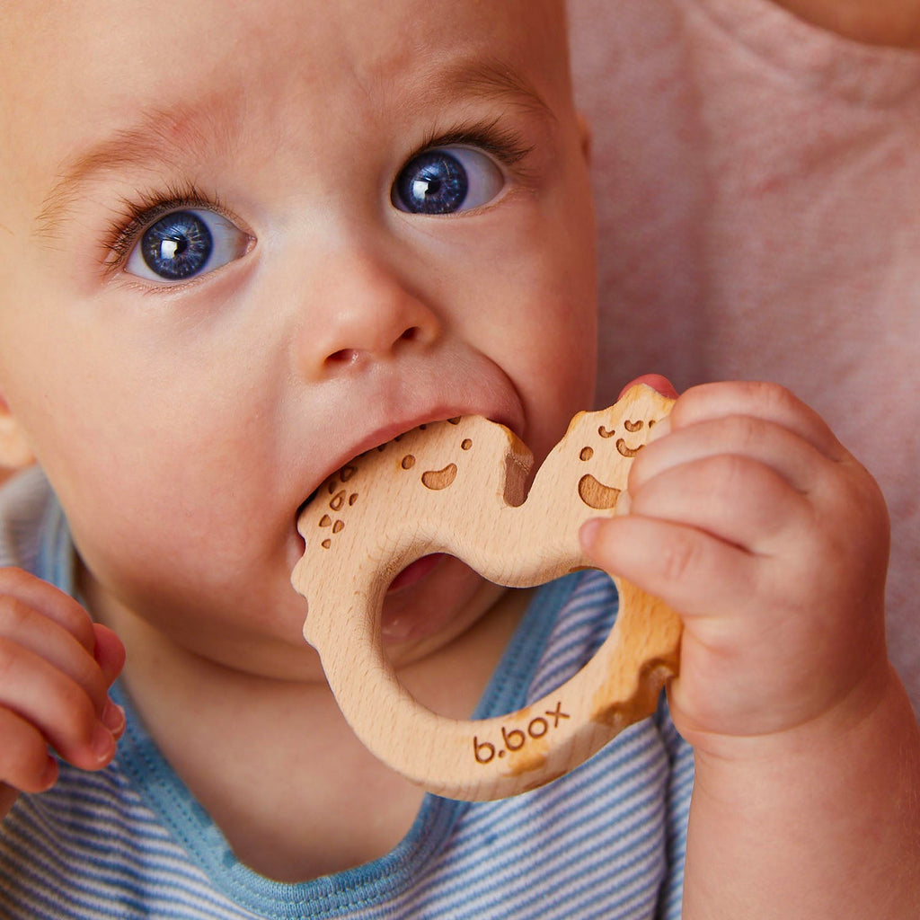 Trio Teether - Salvia